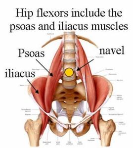 Hip Flexors 2
